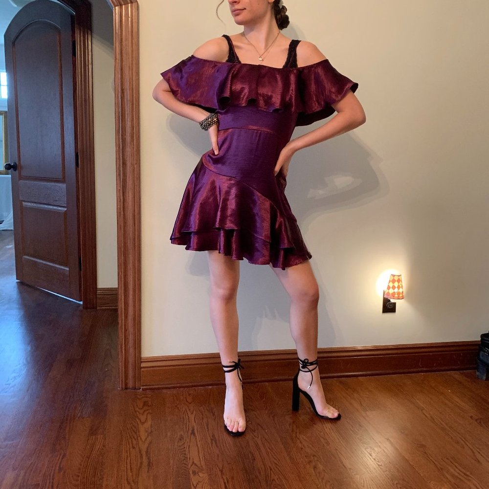 NWT FRANCESCAS PLUM OFF SHOULDER DRESS
